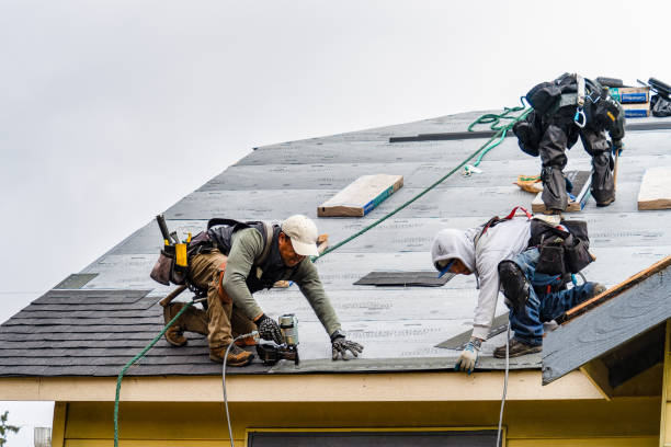 Professional Emergency Roof Repair technician working in Hettinger, ND